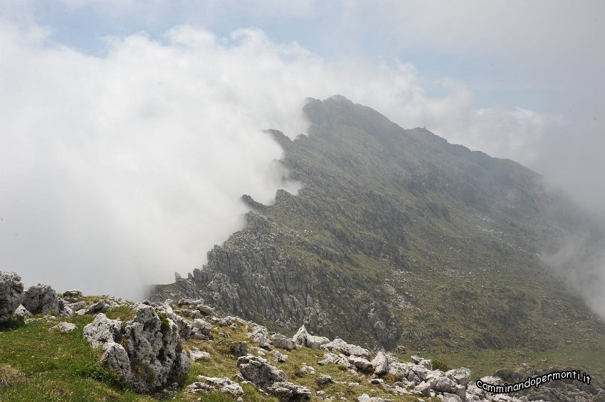 094 La nebbia sale sul Monte Alben.JPG
